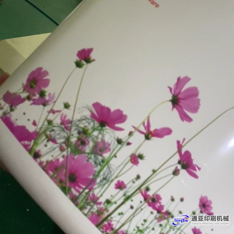 TYH-300MYC-5H油压式弧形马桶水箱专用热转印机